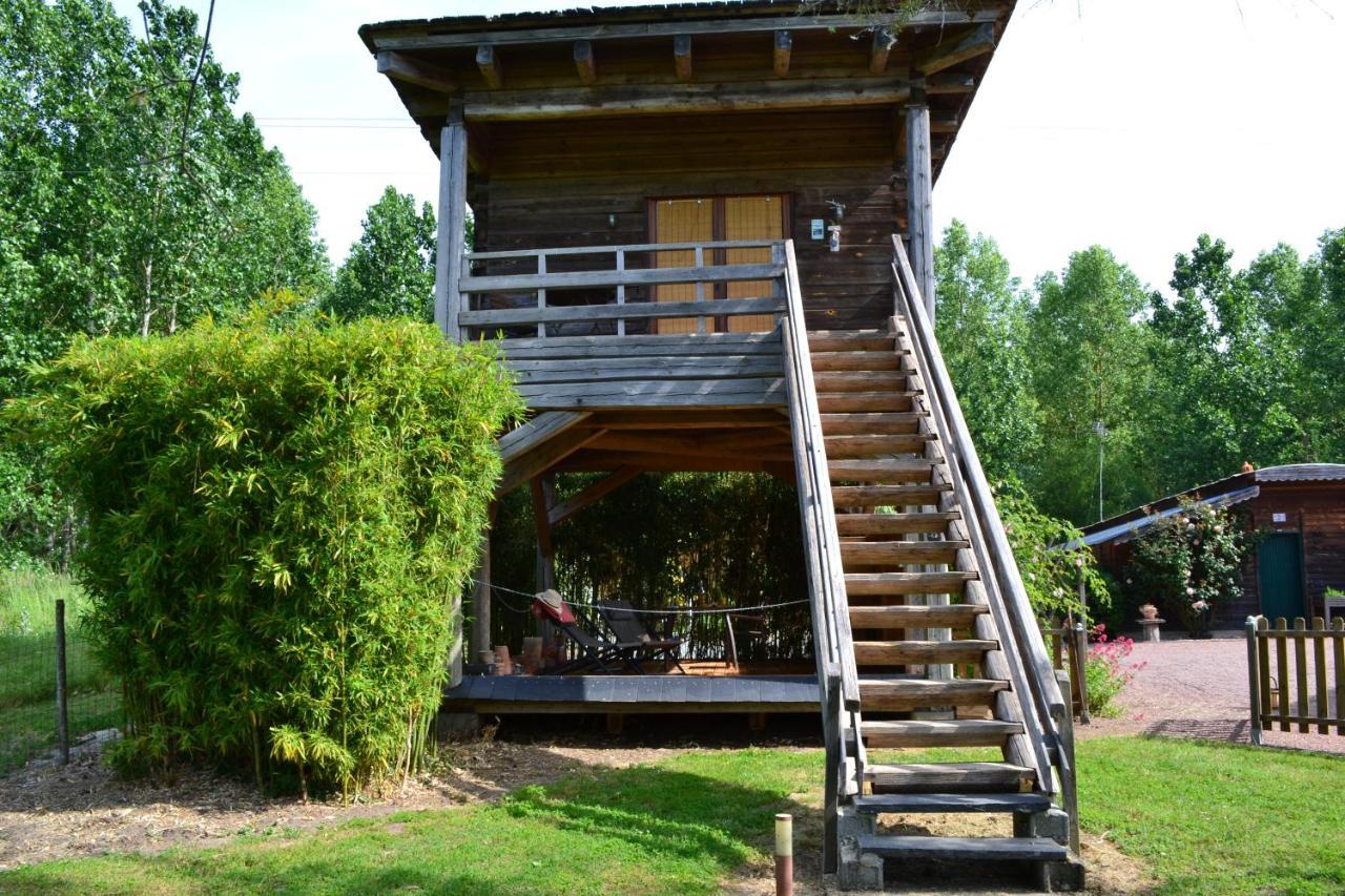 Maison D'Hotes La Chouanniere Bed & Breakfast Les Bois-d'Anjou Exterior foto